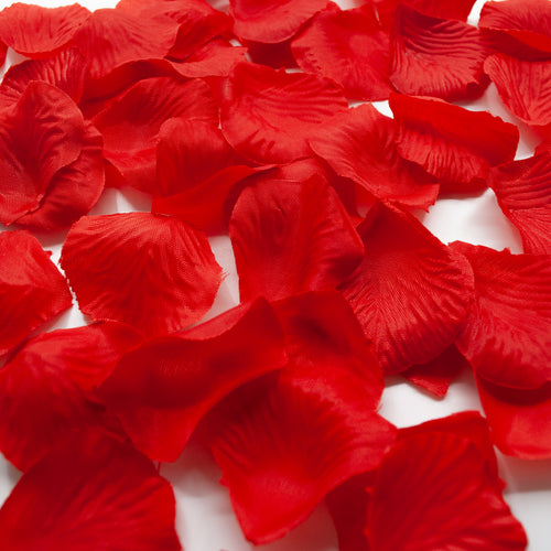 Rose Petals Silk Confetti (500g)